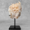 Beautiful Quartz Crystal cluster on a custom stand CC/564