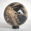 Wonderful Petrified wood Sphere on a custom stand SPHERES 058