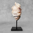 Beautiful Quartz Crystal cluster on a custom stand CC/564