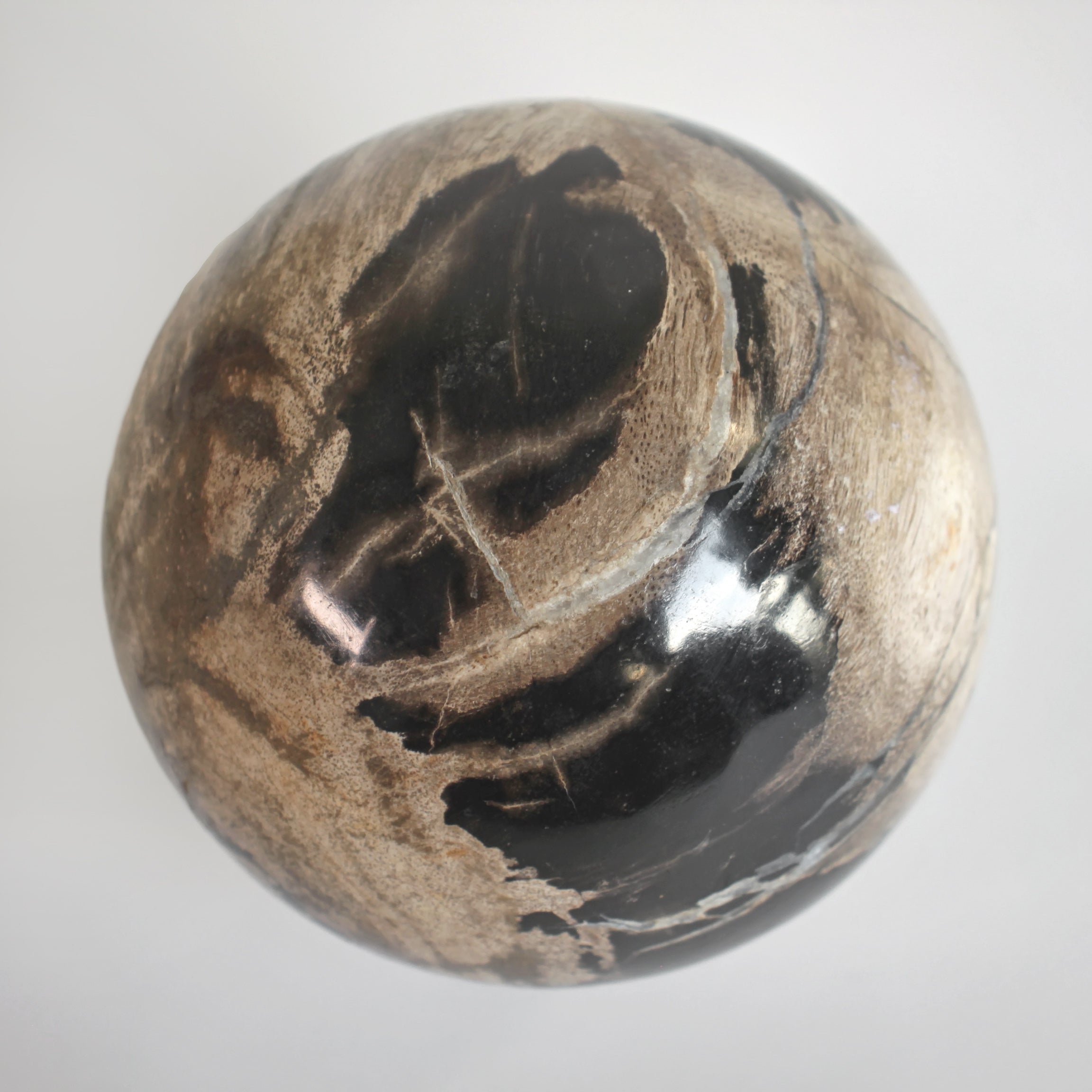 Wonderful Petrified wood Sphere on a custom stand SPHERES 058