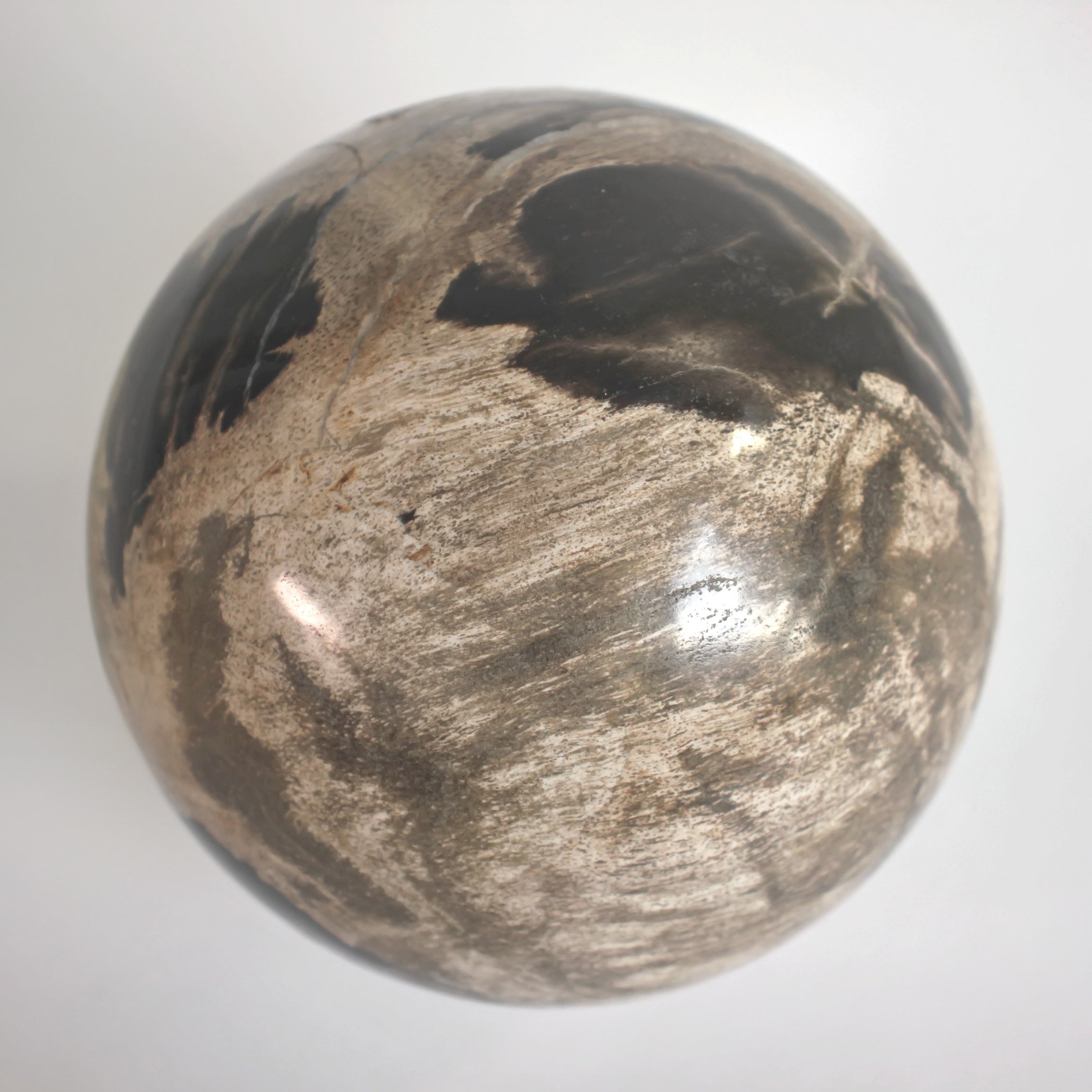 Wonderful Petrified wood Sphere on a custom stand SPHERES 058