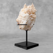 Beautiful Quartz Crystal cluster on a custom stand CC/564