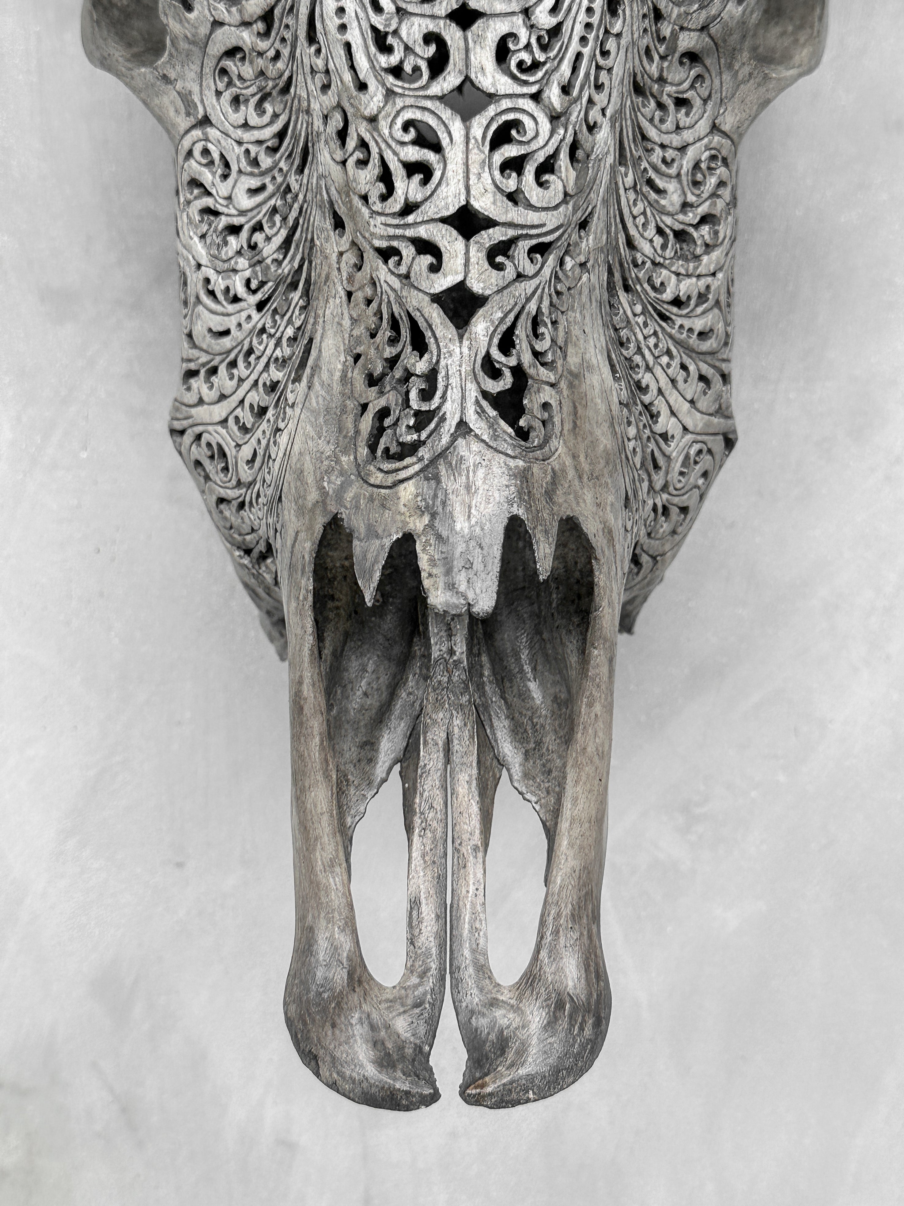 Grey Carved Buffalo Skull with Big Lotus Motif — Handcrafted Wall Art - Skull,A/104