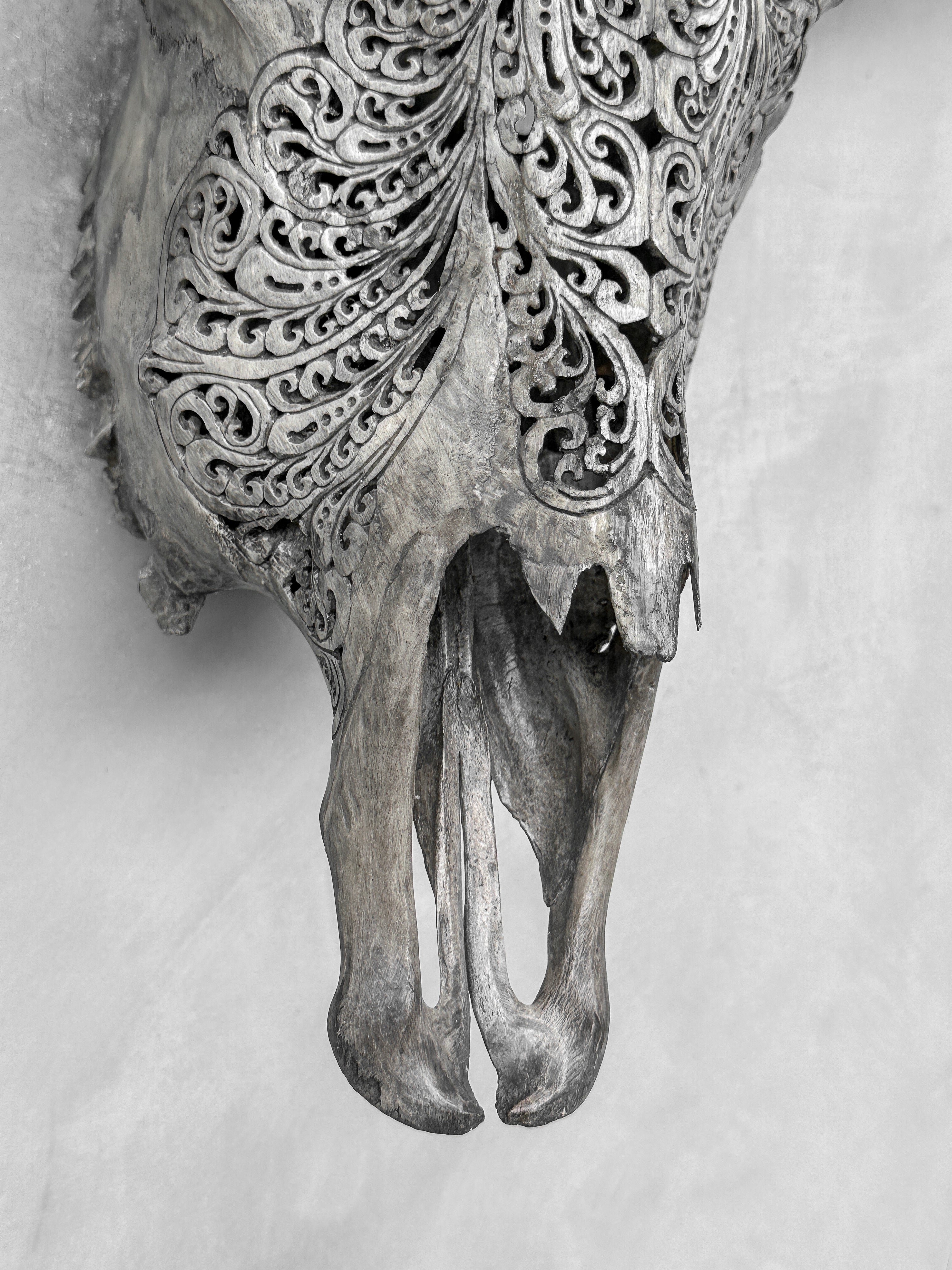 Grey Carved Buffalo Skull with Big Lotus Motif — Handcrafted Wall Art - Skull,A/104