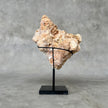 Beautiful Quartz Crystal cluster on a custom stand CC/568