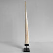 Natural Tusk on stand 6F/001