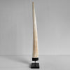 Natural Tusk on stand 6F/001