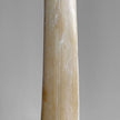 Natural Tusk on stand 6F/001