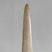 Natural Tusk on stand 6F/001