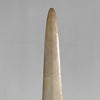 Natural Tusk on stand 6F/001