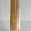 Natural Tusk on stand 6F/001