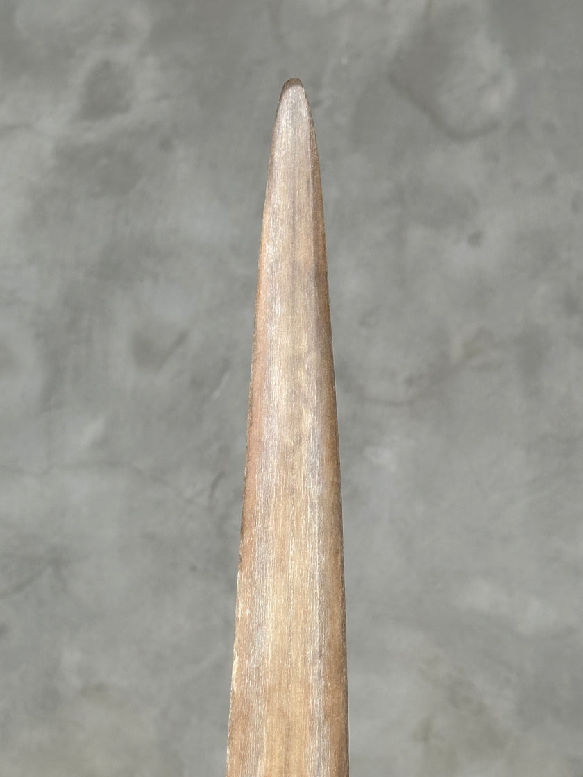 Swordfish - Vertical  - Tusk,A/008