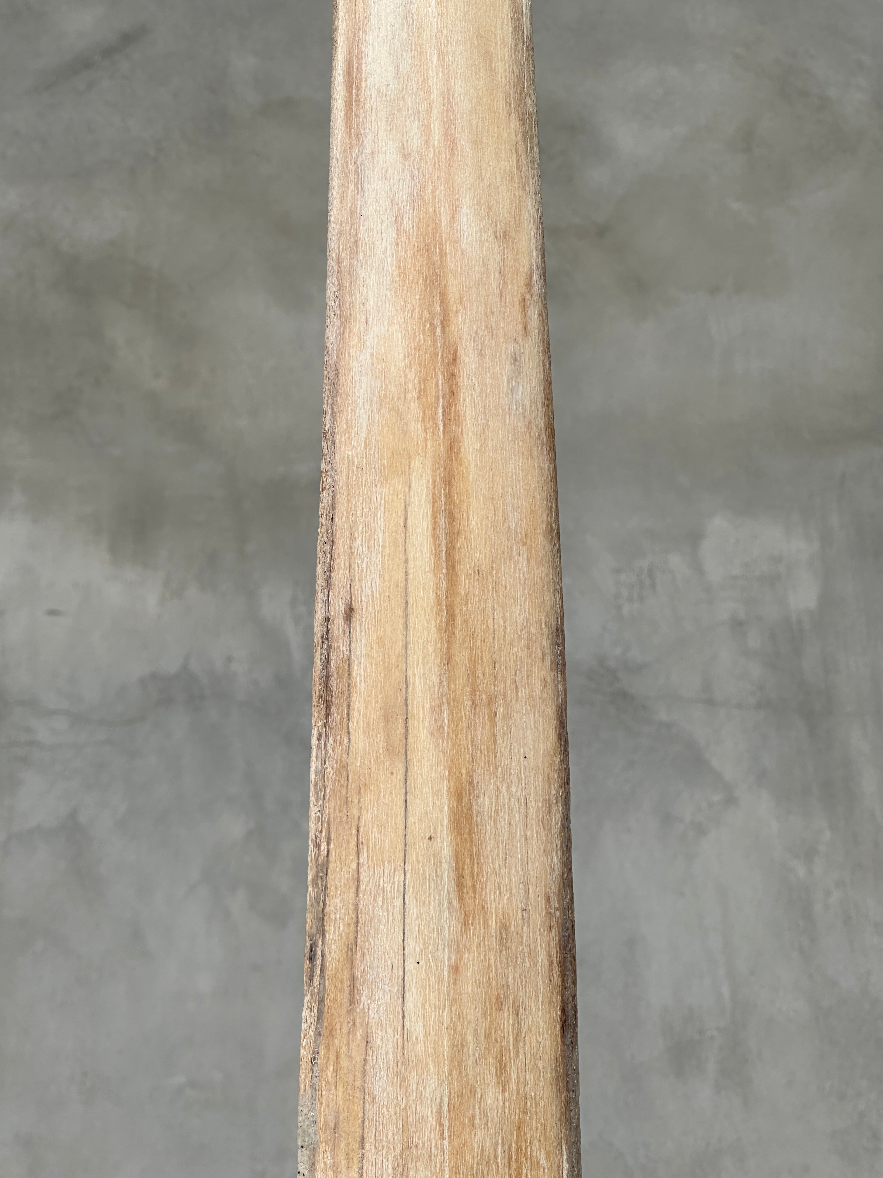 Swordfish - Vertical  - Tusk,A/008