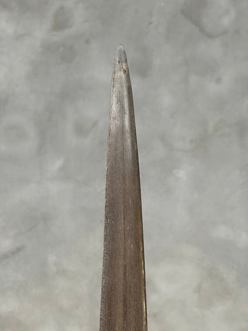 Swordfish - Vertical  - Tusk,A/002