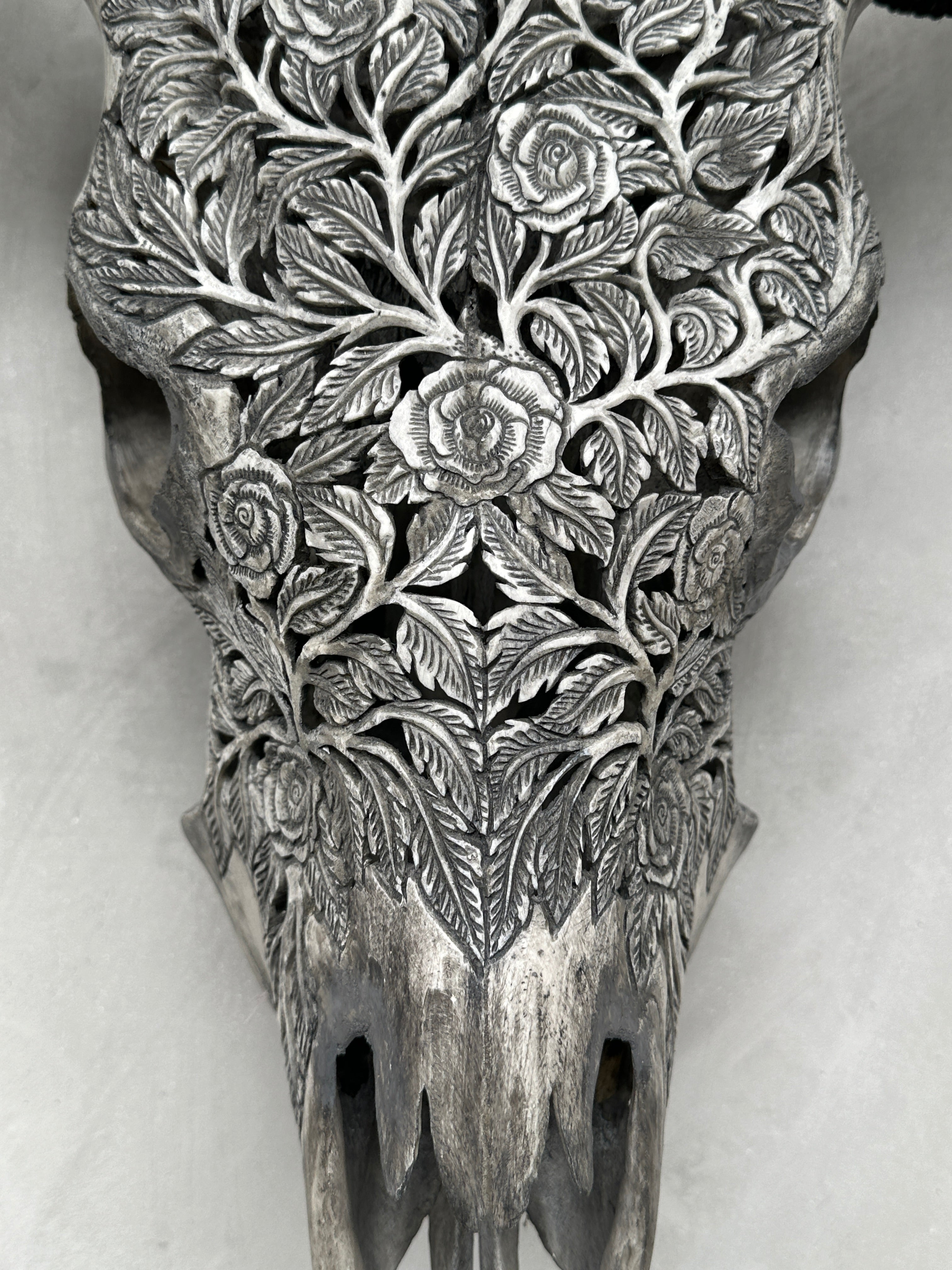 Cow & Horns Carved Rose - Skull,A/031