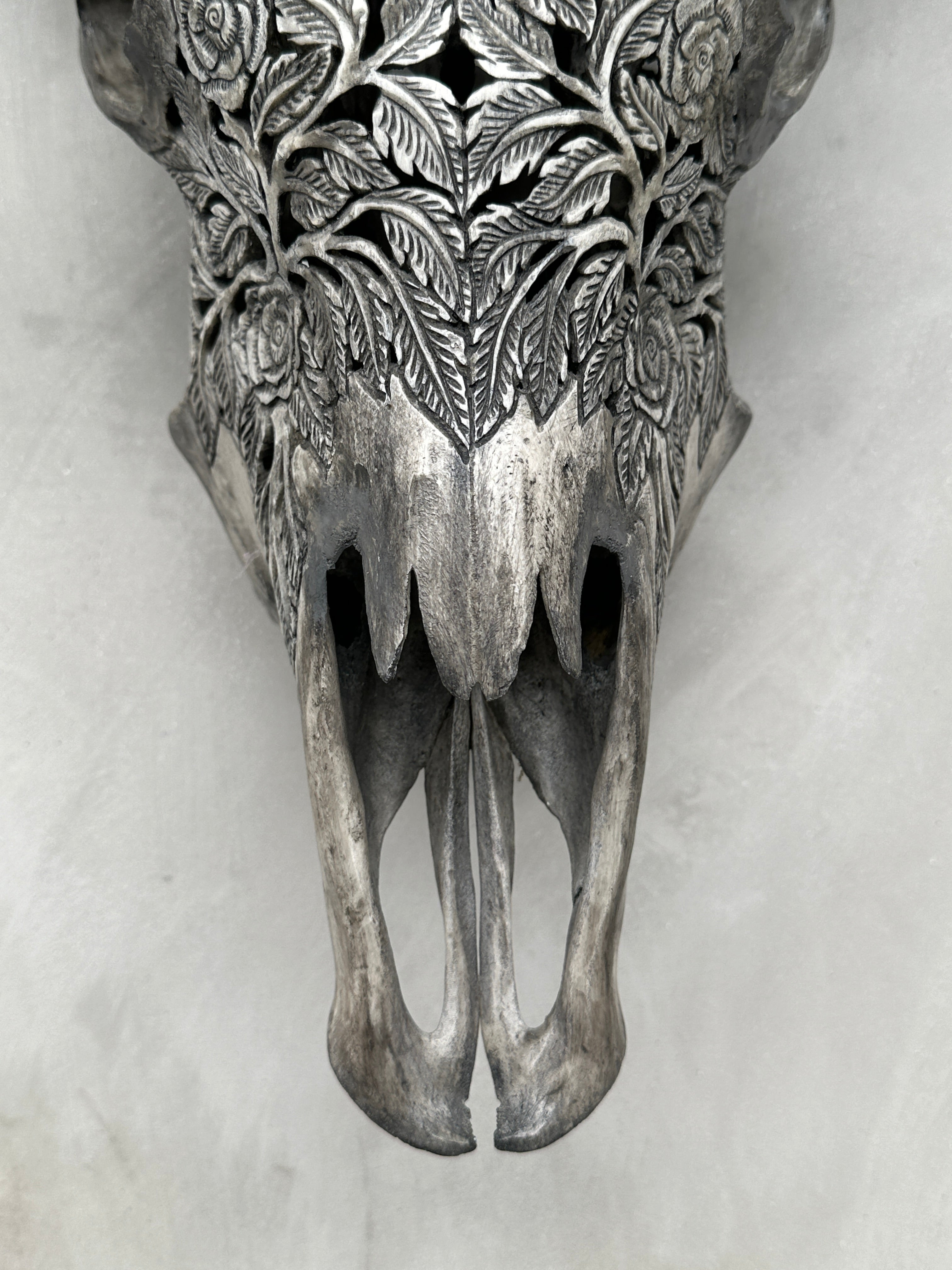 Cow & Horns Carved Rose - Skull,A/031