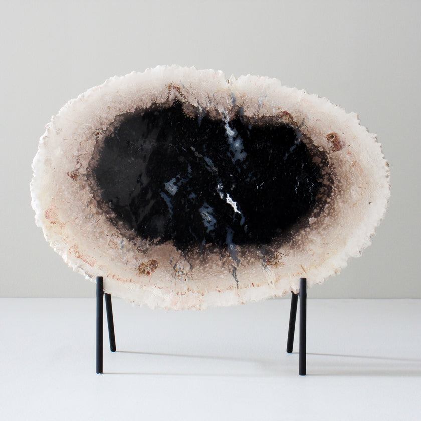 A Beautiful Slice of Petrified Palm Root on stand  PetW/077