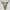 Gold Mosaic Cow Skull Wall Decor – Decorative Cow Skull with Horns for Boho, Western, or Modern Rustic Style Homes - Skull,A/125