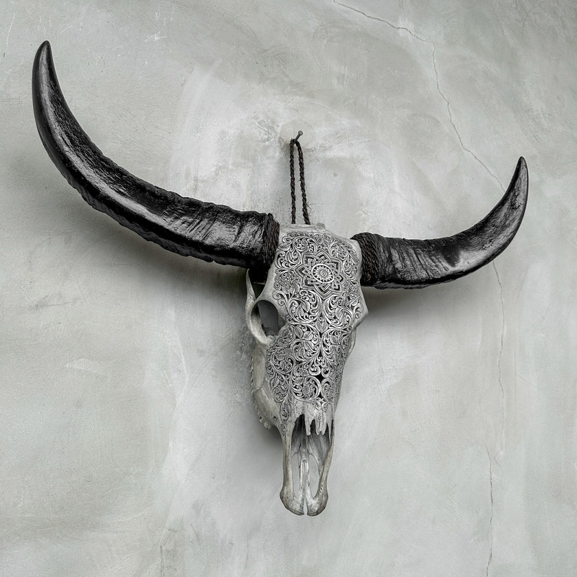 Grey Carved Buffalo Skulls with Star Mandala motif | Skull,A/107