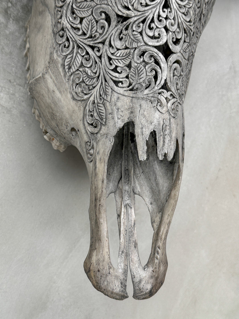 Grey Carved Buffalo Skulls with Star Mandala motif | Skull,A/107