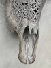 Grey Carved Buffalo Skull with Star Mandala Motif — Handmade Wall Decor - Skull,A/107