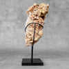 Beautiful Quartz Crystal cluster on a custom stand CC/579