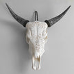 Real Carved Cow Skull with Carved Horns 22/EX/325