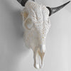 Real Carved Cow Skull with Carved Horns 22/EX/325