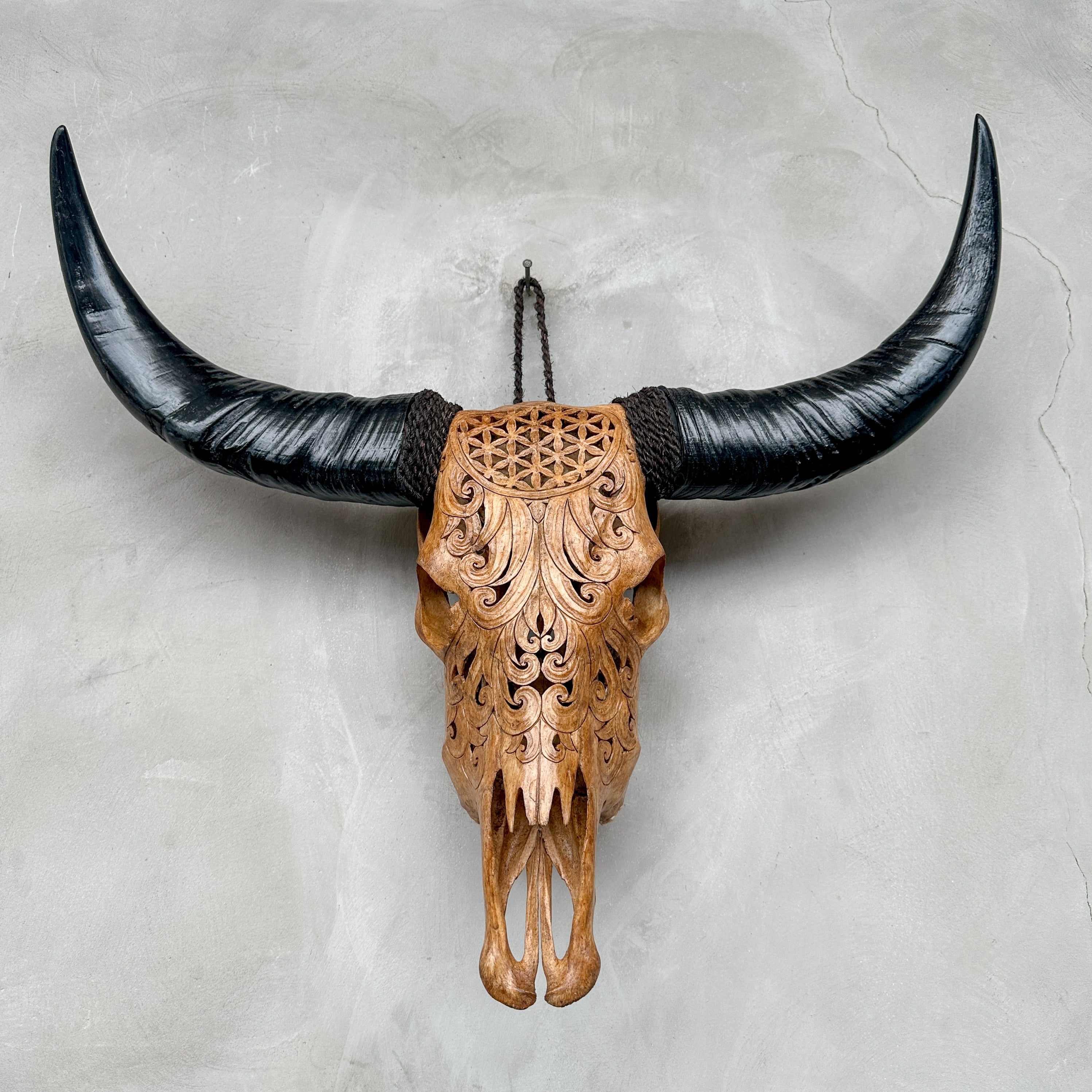 Brown Carved Buffalo Skull with Flower of Life Motif — Handcrafted Wall Art - Skull,A/109