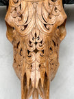 Brown Carved Buffalo Skull with Flower of Life Motif — Handcrafted Wall Art - Skull,A/109
