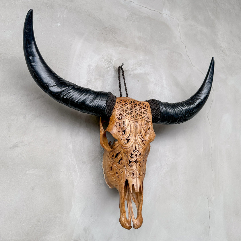 Brown Carved Buffalo Skulls with Flower Of life motif | Skull,A/109