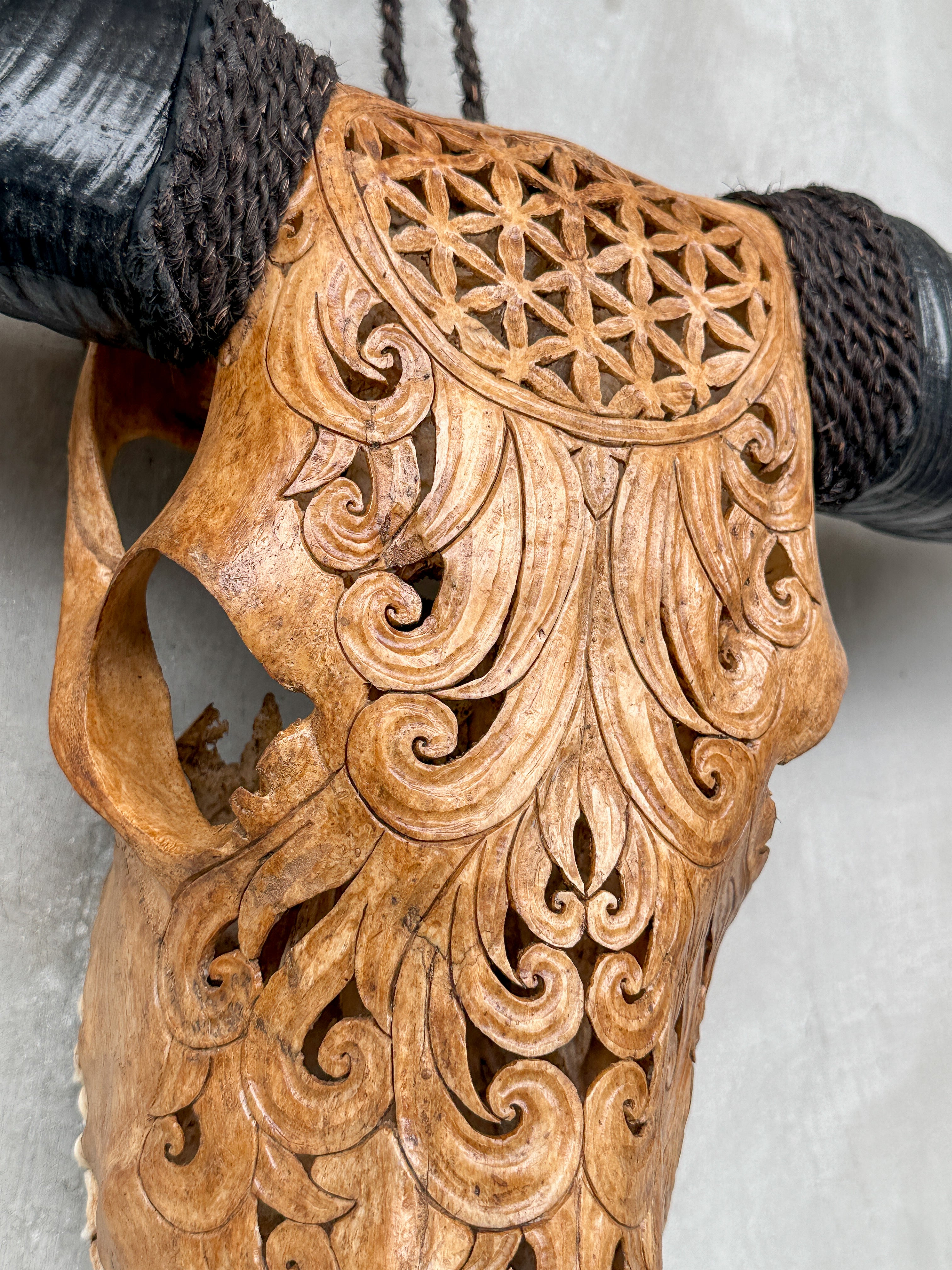 Brown Carved Buffalo Skull with Flower of Life Motif — Handcrafted Wall Art - Skull,A/109