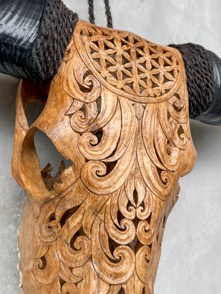Brown Carved Buffalo Skulls with Flower Of life motif | Skull,A/109