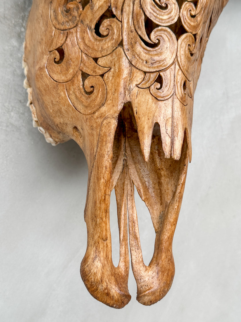 Brown Carved Buffalo Skulls with Flower Of life motif | Skull,A/109