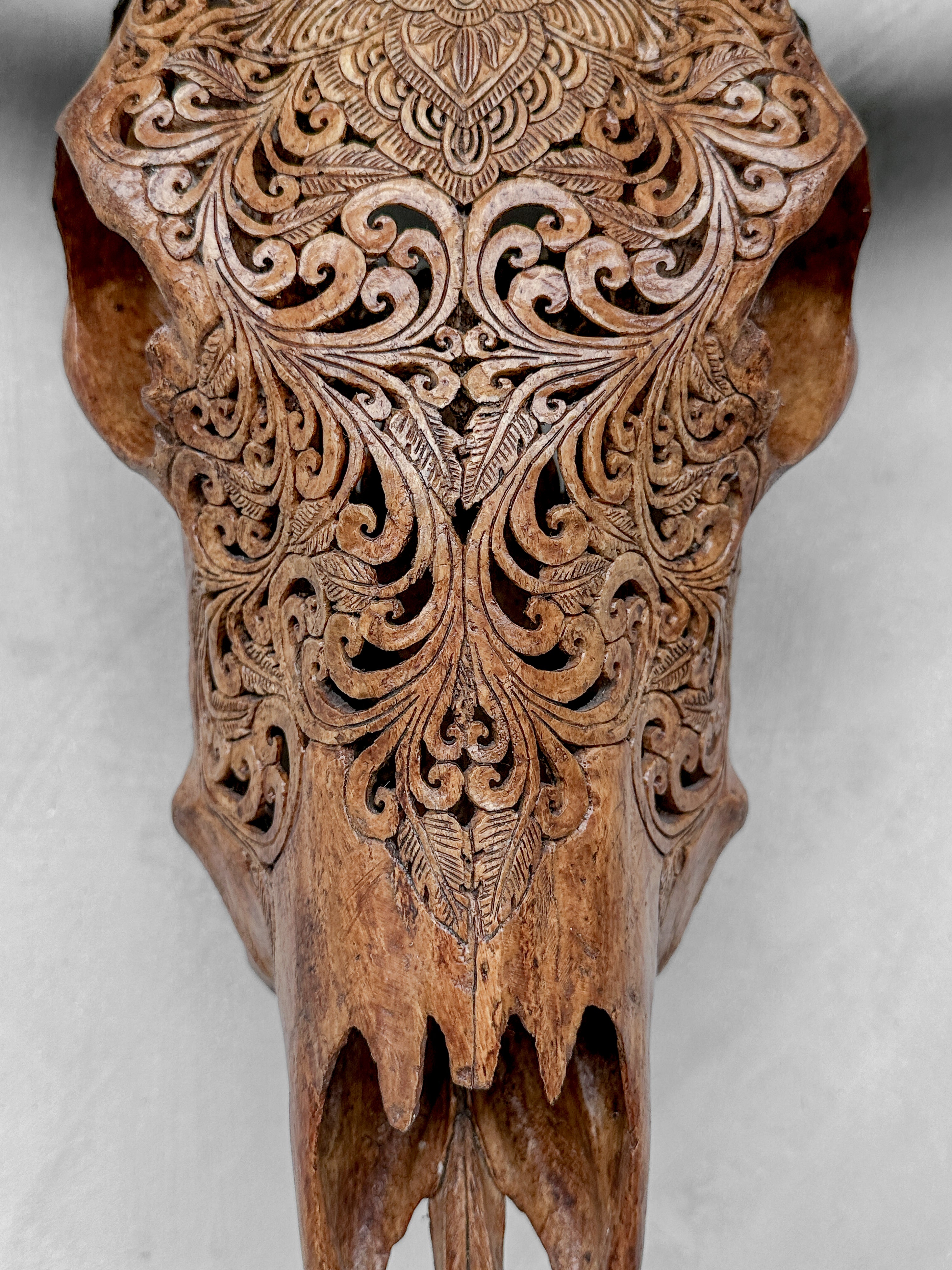 Brown Carved Buffalo Skull with Floral Motif — Handcrafted Wall Art - Skull,A/102