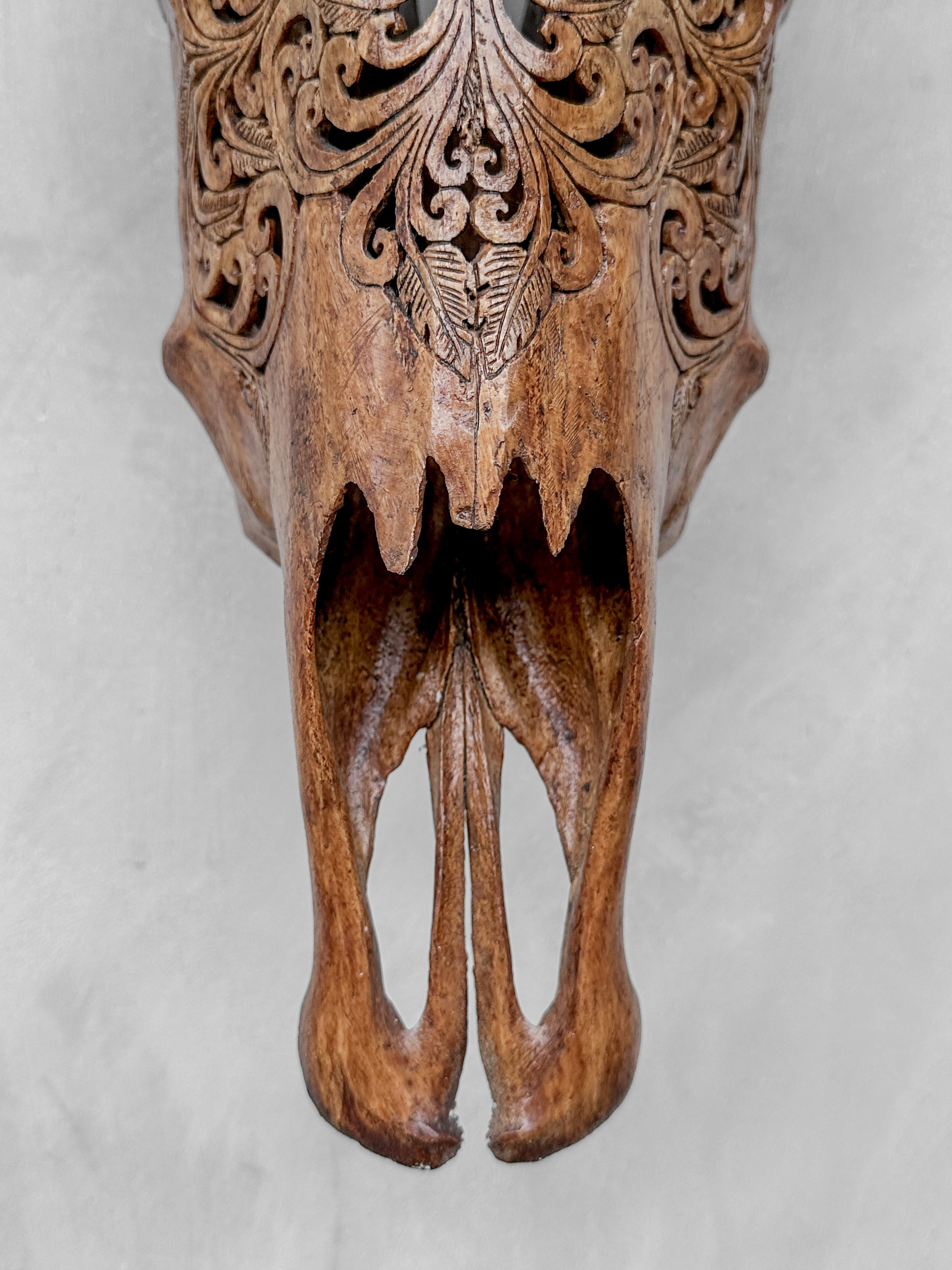 Brown Carved Buffalo Skull with Floral Motif — Handcrafted Wall Art - Skull,A/102