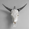 Real Carved Cow Skull with Carved Horns 22/EX/329