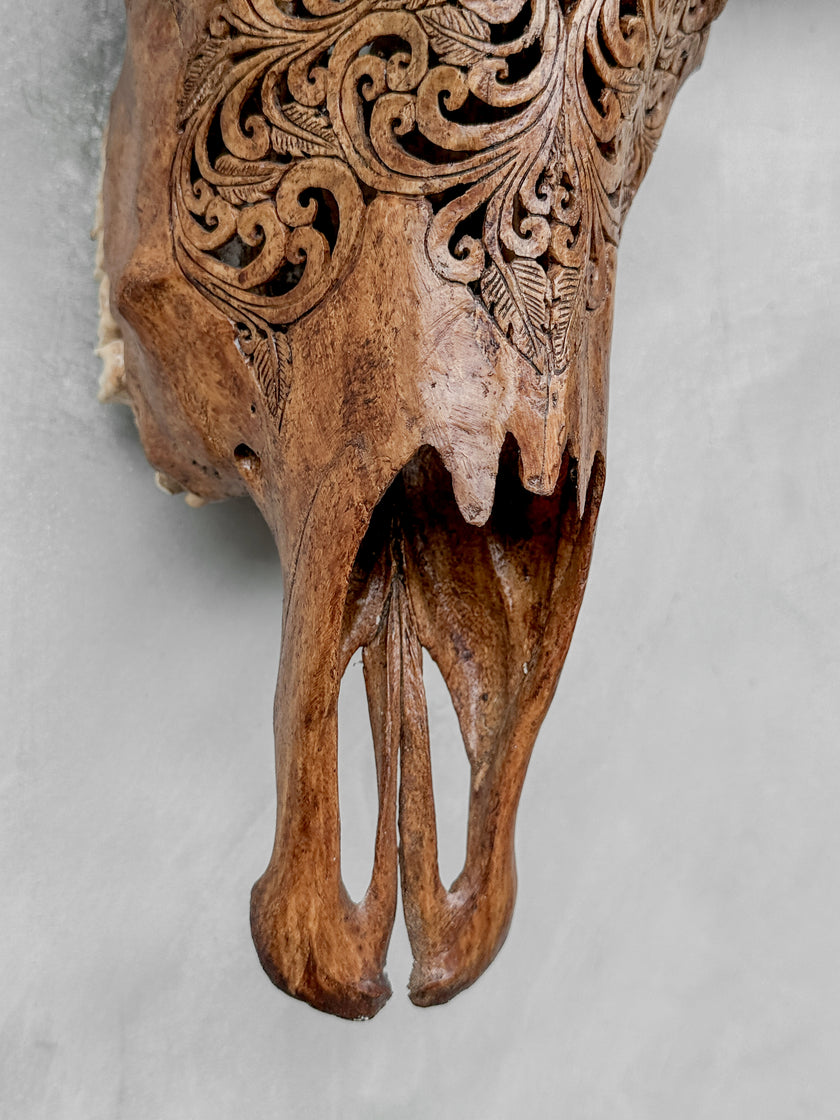 Brown Carved Buffalo Skulls with Floral motif | Skull,A/102
