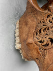 Brown Carved Buffalo Skull with Floral Motif — Handcrafted Wall Art - Skull,A/102