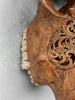 Brown Carved Buffalo Skull with Floral Motif — Handcrafted Wall Art - Skull,A/102