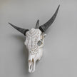 Real Carved Cow Skull with Carved Horns 22/EX/329