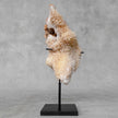 Beautiful Quartz Crystal cluster on a custom stand CC/581