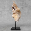 Beautiful Quartz Crystal cluster on a custom stand CC/581