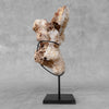 Beautiful Quartz Crystal cluster on a custom stand CC/581