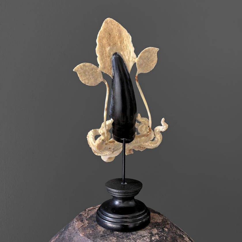 A Stunning Hand Carved Octopus With Horn on a Stand - 7Z/109