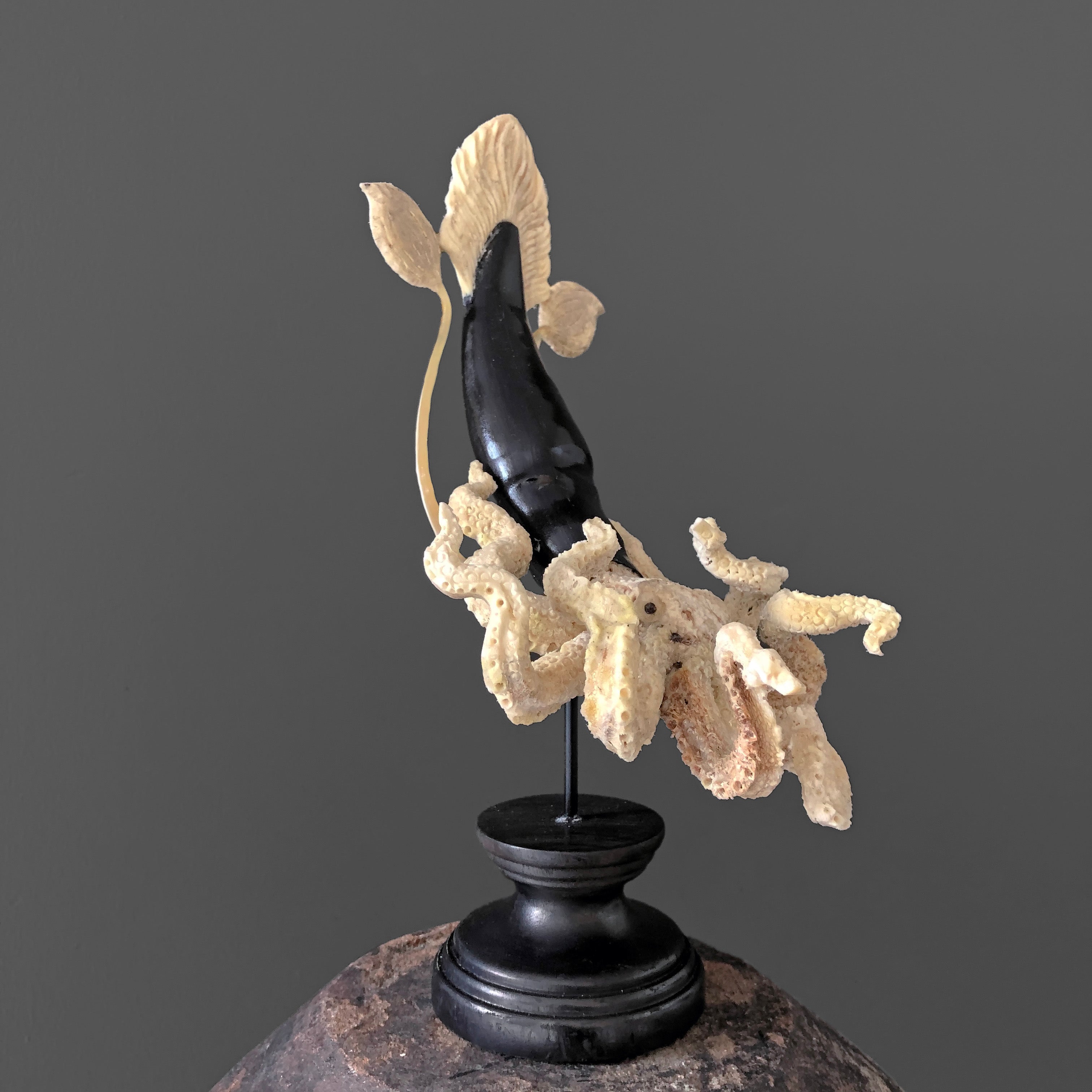 A Stunning Hand Carved Octopus With Horn on a Stand - 7Z/109