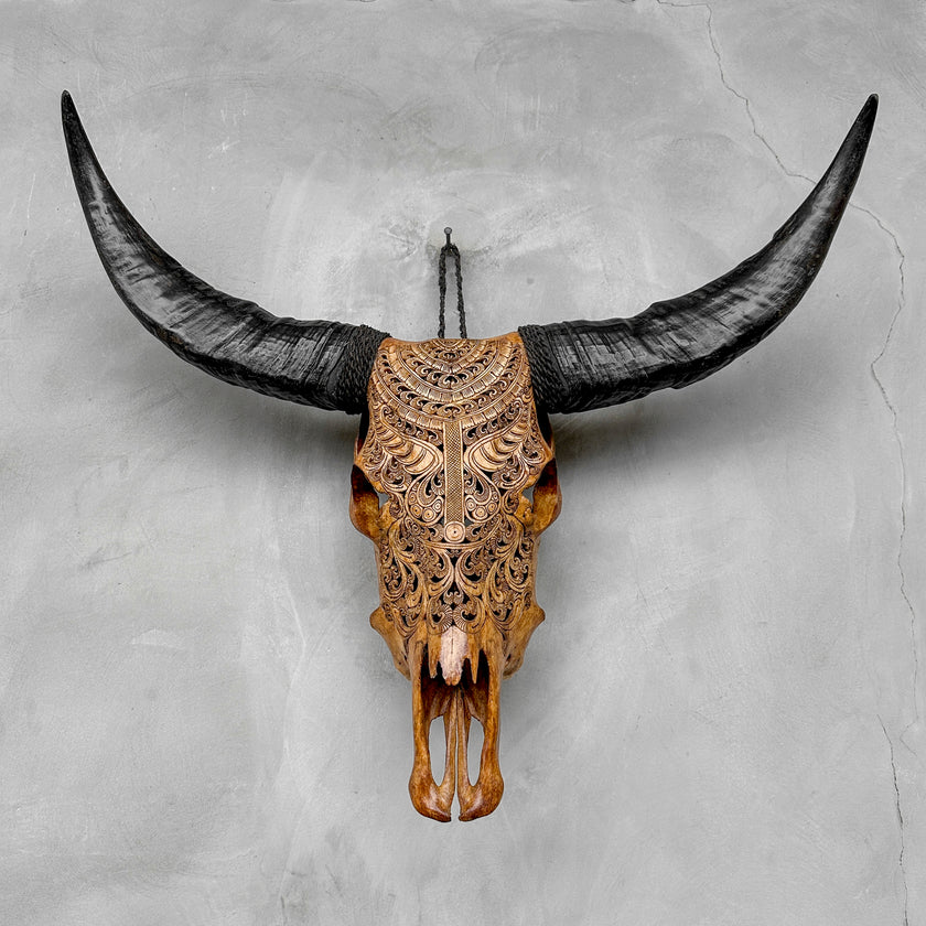 Brown Carved Buffalo Skulls with Badong motif | Skull,A/110