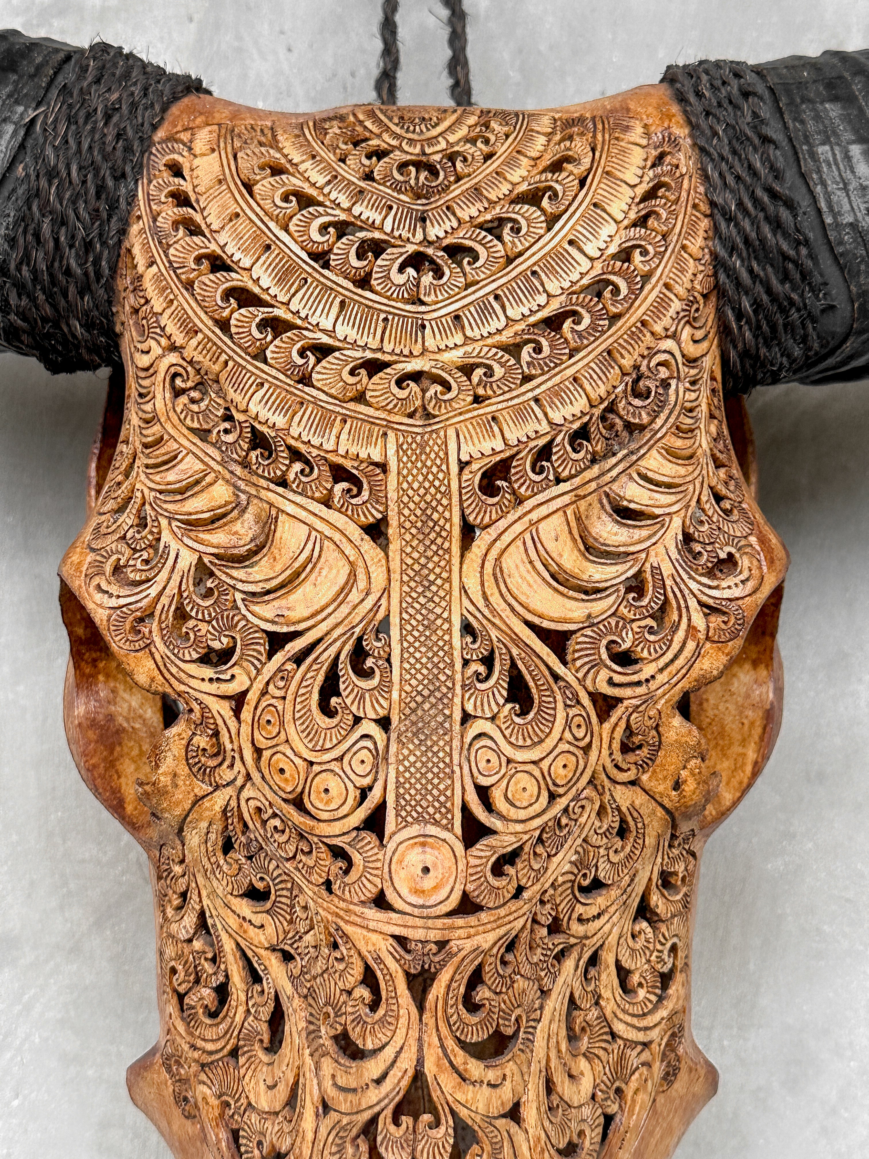 Carved Buffalo Skull with Horns – Real Bone Wall Art from Bali | Badong Motif | Tribal Home Decor | Ethically Sourced Skull - Skull,A/110