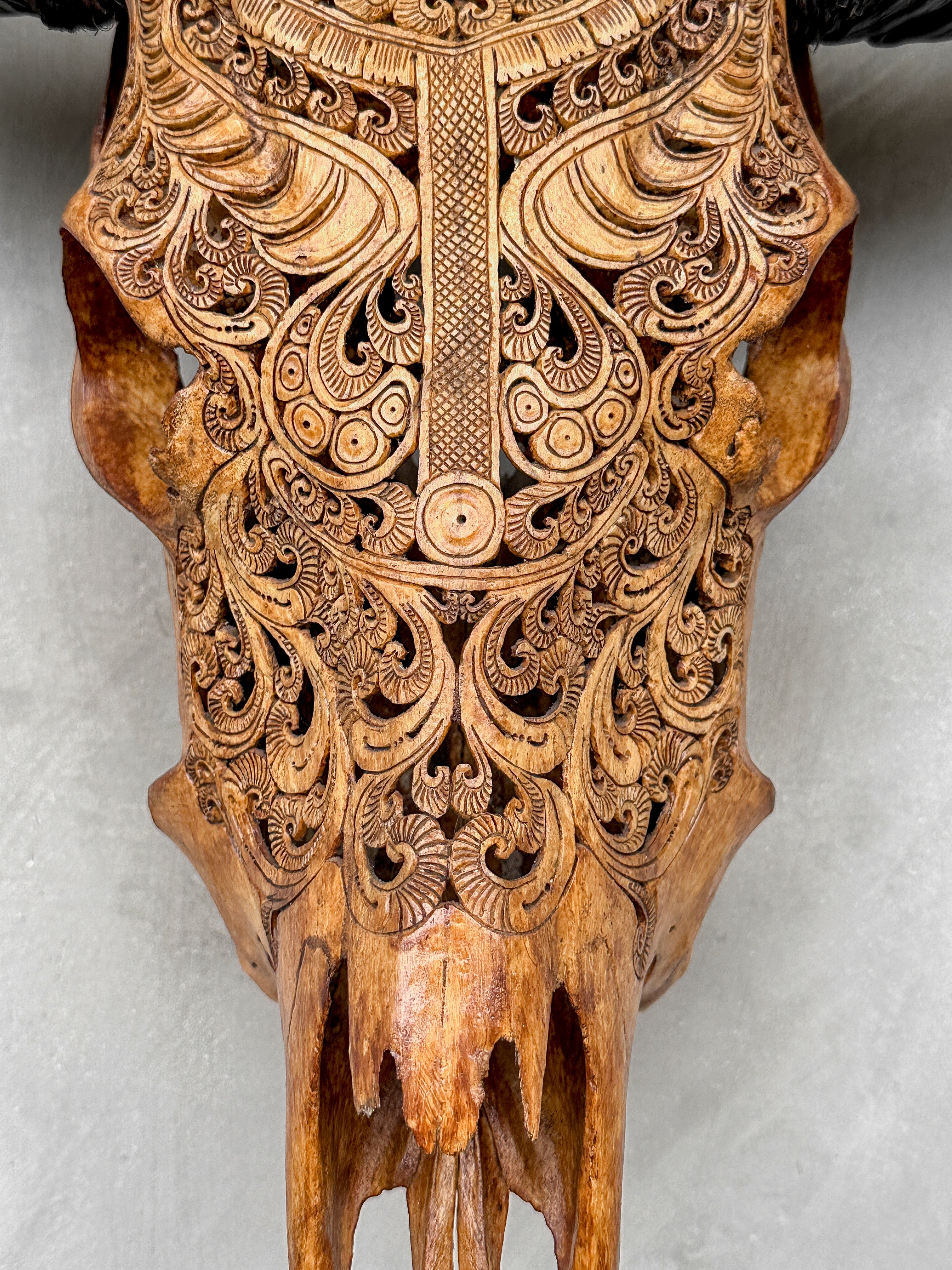Carved Buffalo Skull with Horns – Real Bone Wall Art from Bali | Badong Motif | Tribal Home Decor | Ethically Sourced Skull - Skull,A/110