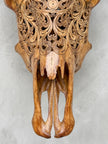 Carved Buffalo Skull with Horns – Real Bone Wall Art from Bali | Badong Motif | Tribal Home Decor | Ethically Sourced Skull - Skull,A/110